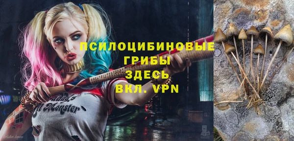 стаф Алексин