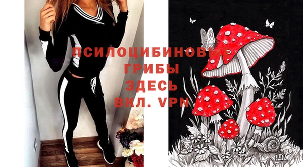 спиды Алексеевка